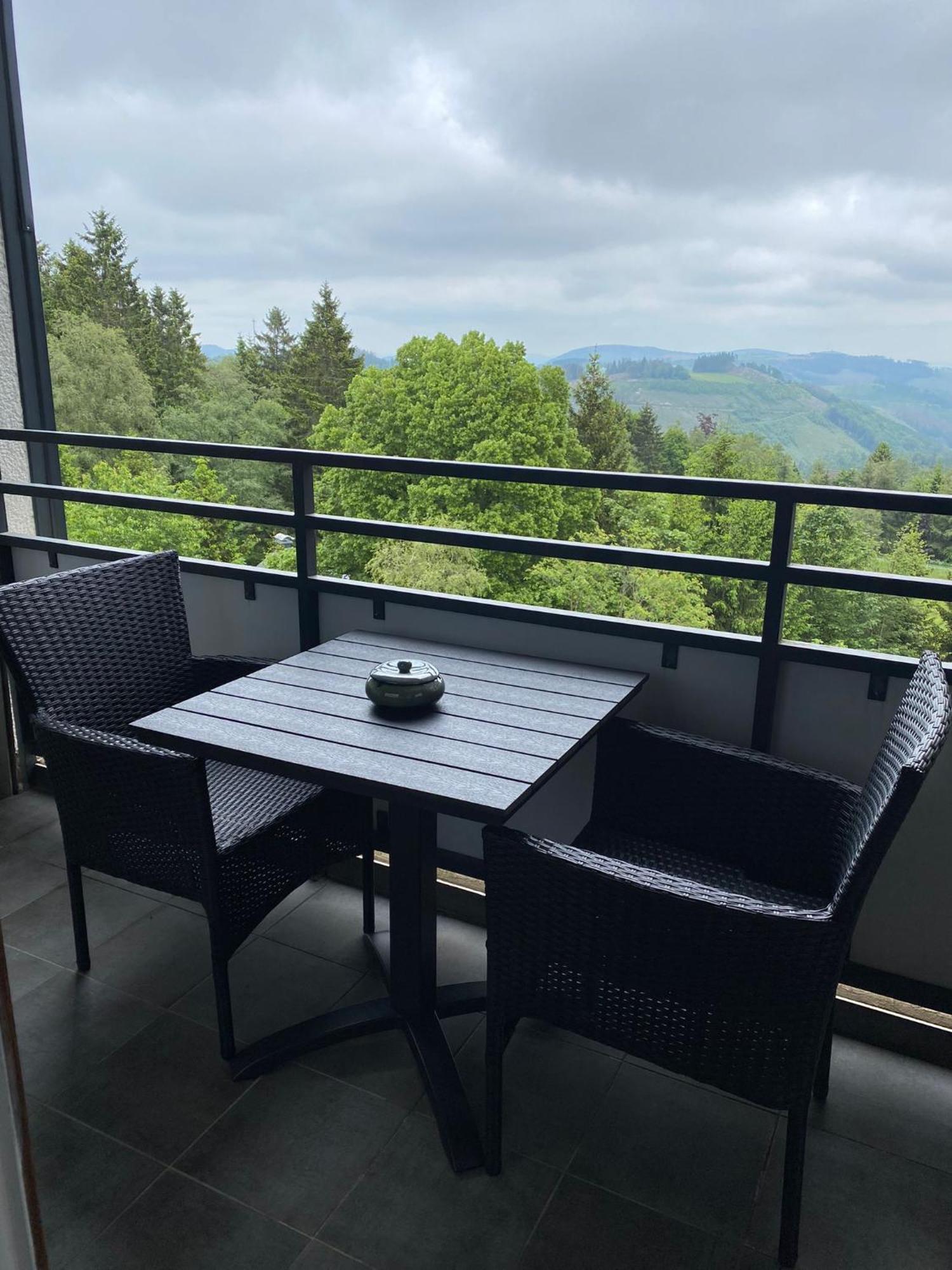 Apartment Bergluft Winterberg Am Bikepark, Skilift, Ssc المظهر الخارجي الصورة