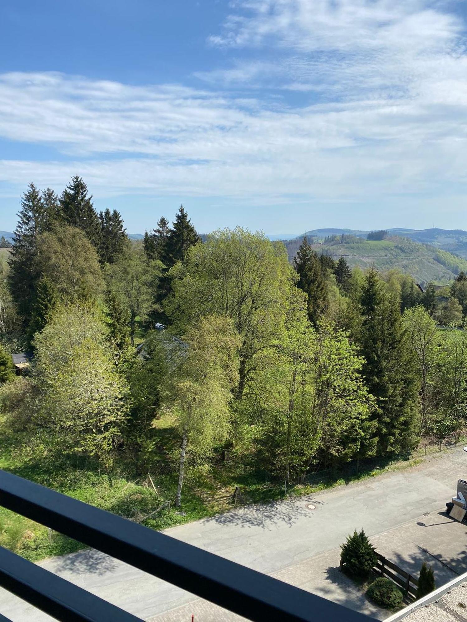 Apartment Bergluft Winterberg Am Bikepark, Skilift, Ssc المظهر الخارجي الصورة