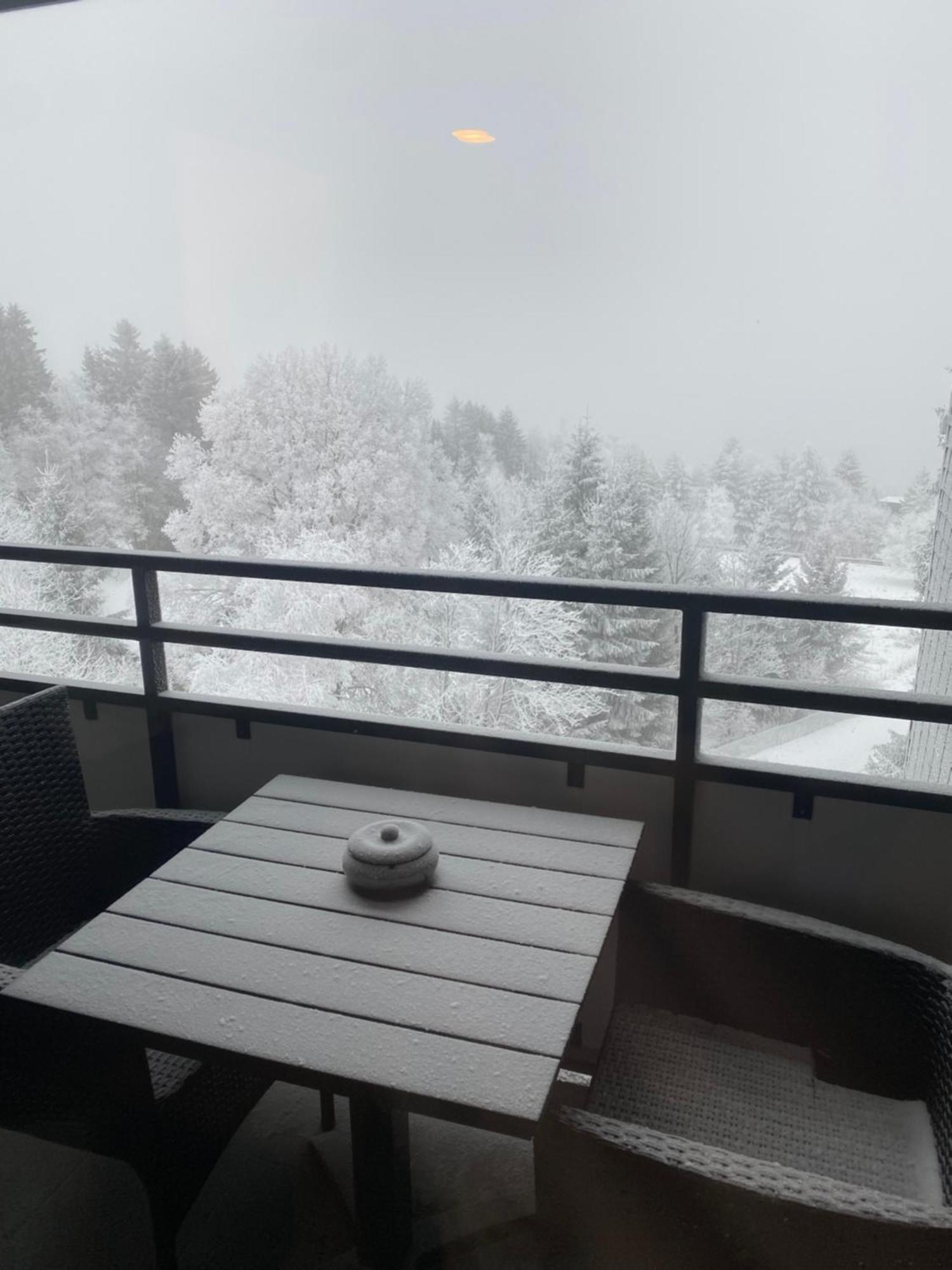 Apartment Bergluft Winterberg Am Bikepark, Skilift, Ssc المظهر الخارجي الصورة
